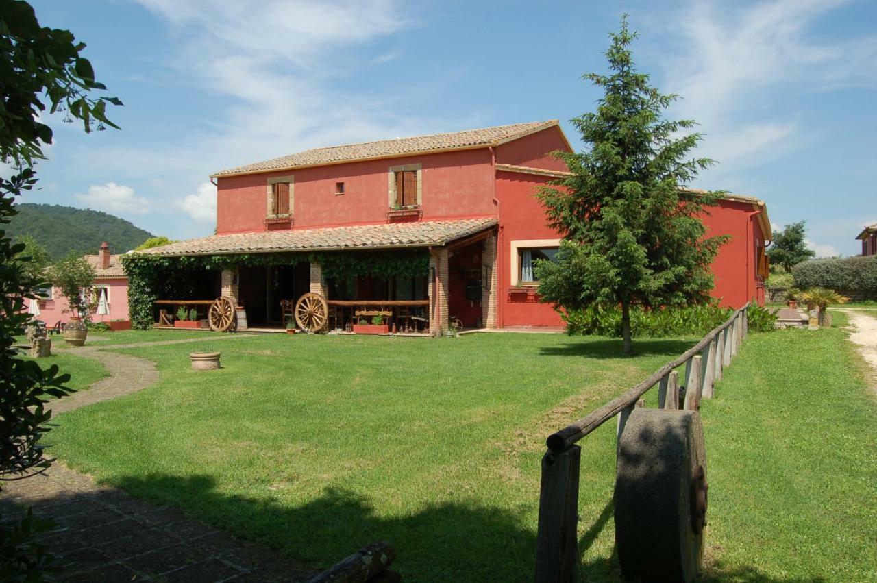 Villa Agriturismo Castro à Ischia di Castro Extérieur photo