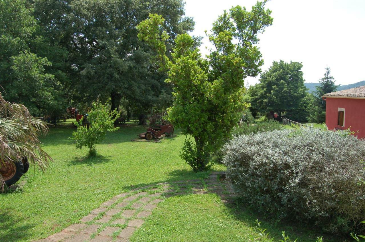 Villa Agriturismo Castro à Ischia di Castro Extérieur photo
